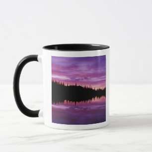 N.A., VS, Washington, Mt. Rainier Nationaal 2 Mok