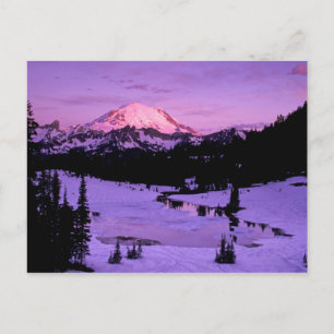 N.A., VS, Washington, Mt. Rainier Nationaal 3 Briefkaart