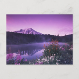 N.A., VS, Washington, Mt. Rainier Nationaal Briefkaart