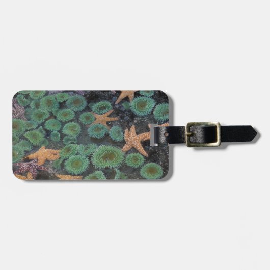 N.A., VS, Washington, Olympic National Park Bagagelabel (Voorkant horizontaal)