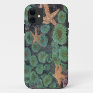 N.A., VS, Washington, Olympic National Park Case-Mate iPhone Case