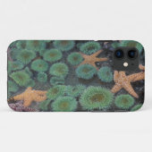 N.A., VS, Washington, Olympic National Park Case-Mate iPhone Case (Achterkant (horizontaal))