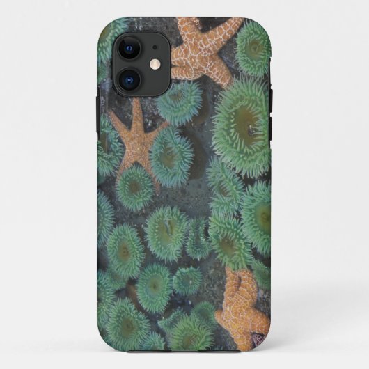 N.A., VS, Washington, Olympic National Park Case-Mate iPhone Case (Achterkant)