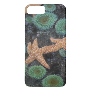N.A., VS, Washington, Olympic National Park Case-Mate iPhone Case