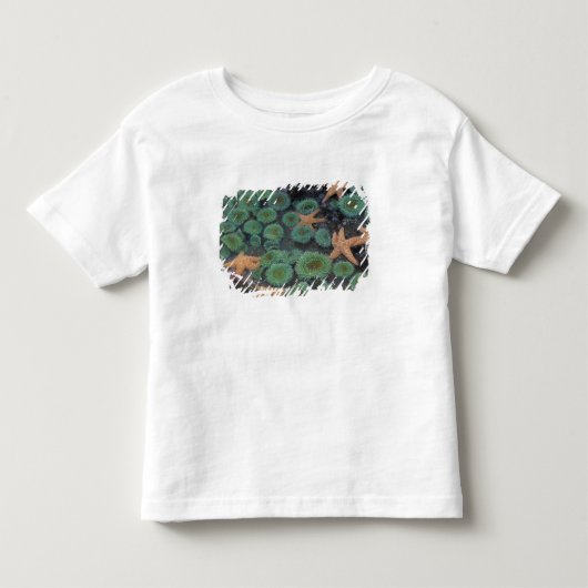 N.A., VS, Washington, Olympic National Park Kinder Shirts (Voorkant)