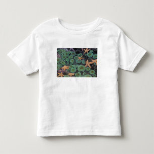 N.A., VS, Washington, Olympic National Park Kinder Shirts