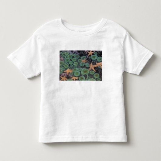 N.A., VS, Washington, Olympic National Park Kinder Shirts (Voorkant)