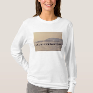 N.A., VS, Washington, San Juan-eilanden Orka T-shirt