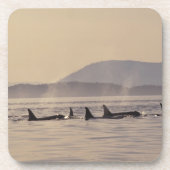N.A., VS, Washington, San Juan Islands Orca Drankjes Onderzetter (Voorkant)