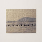 N.A., VS, Washington, San Juan Islands Orca Legpuzzel (Horizontaal)