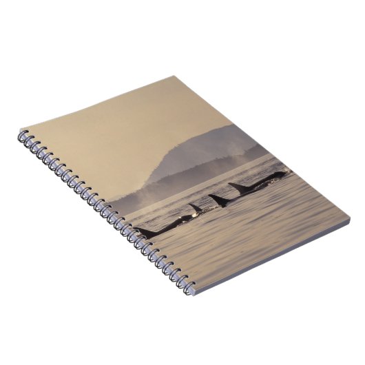 N.A., VS, Washington, San Juan Islands Orca Notitieboek (Rechterzijde)