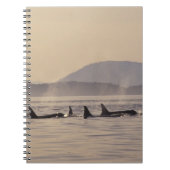 N.A., VS, Washington, San Juan Islands Orca Notitieboek (Voorkant)