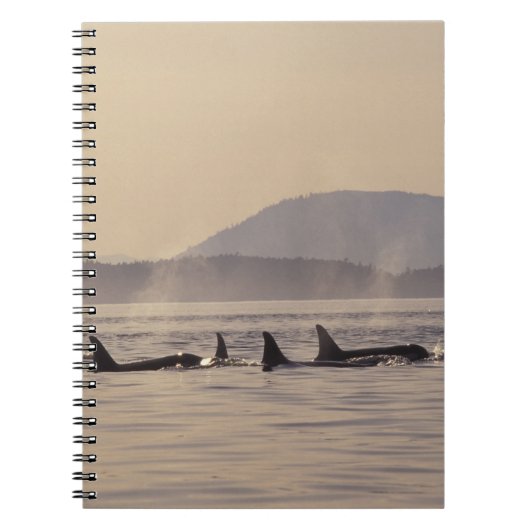N.A., VS, Washington, San Juan Islands Orca Notitieboek (Voorkant)