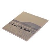 N.A., VS, Washington, San Juan Islands Orca Tegeltje (Zijkant)