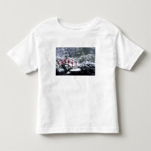 N.A., VS, Washington, Seattle. Maanbrug in Kinder Shirts