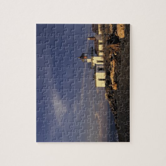 N.A., VS, Washington, Seattle Westpoint Legpuzzel (Verticaal)