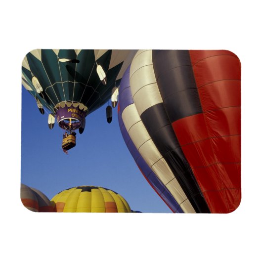 N.A., VS, Washington, Walla Walla, Walla Walla Magneet (Horizontaal)