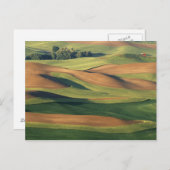 N.A., VS, Washington, Whitman County. Briefkaart (Voorkant / Achterkant)