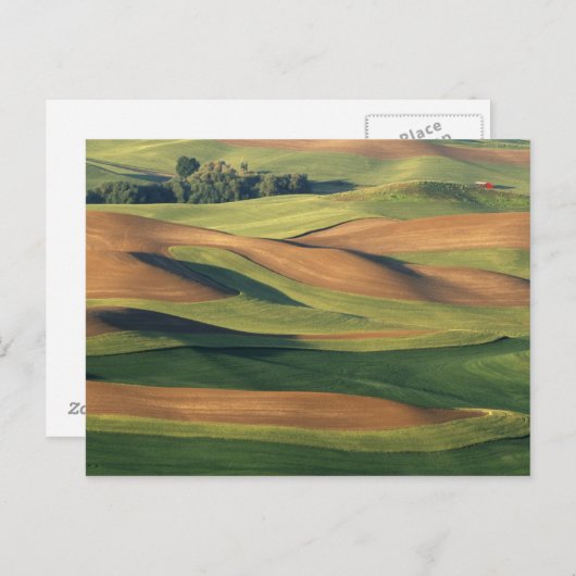 N.A., VS, Washington, Whitman County. Briefkaart (Voorkant / Achterkant)