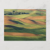 N.A., VS, Washington, Whitman County. Briefkaart (Voorkant)