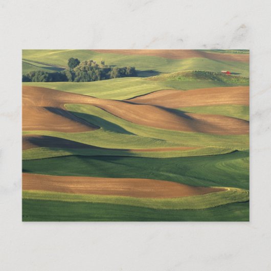 N.A., VS, Washington, Whitman County. Briefkaart (Voorkant)