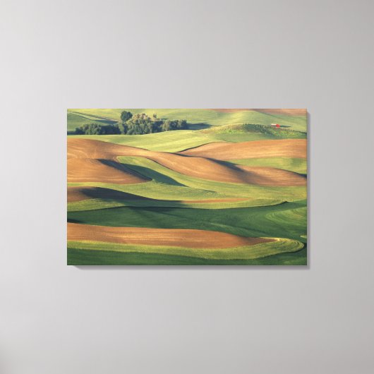 N.A., VS, Washington, Whitman County. Canvas Afdruk (Voorkant)