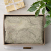 N Azië Tissuepapier (Geschenk)