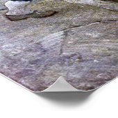 N. C. Wyeth Long John Silver en zijn Parrot Poster (Hoek)