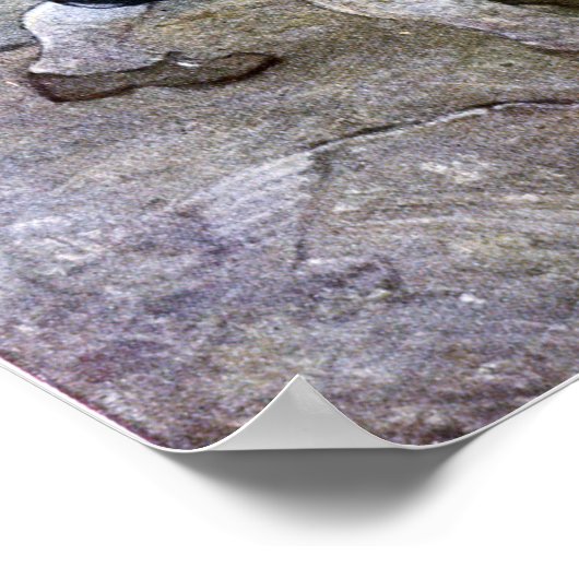 N. C. Wyeth Long John Silver en zijn Parrot Poster (Hoek)