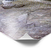 N. C. Wyeth Long John Silver en zijn Parrot Poster (Hoek)