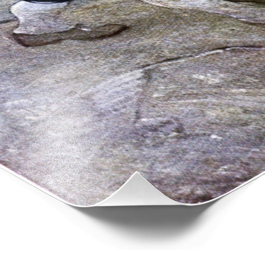 N. C. Wyeth Long John Silver en zijn Parrot Poster (Hoek)