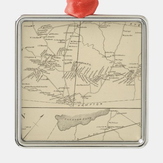 N Hampton, Newton Metalen Ornament (Voorkant)