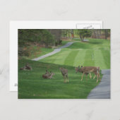 N-koeling bekijken briefkaart (Voorkant / Achterkant)