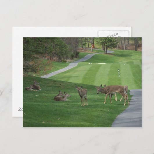 N-koeling bekijken briefkaart (Voorkant / Achterkant)