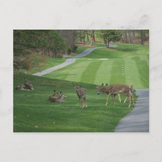 N-koeling bekijken briefkaart