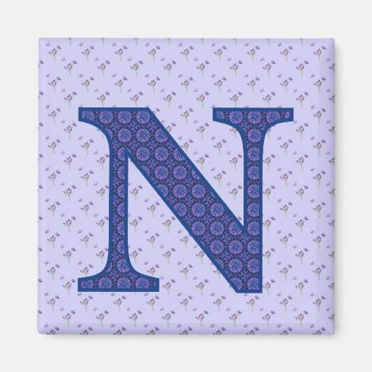 N MAGNEET (Voorkant)
