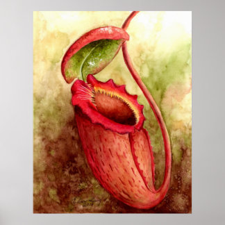 N Rajah Waterverf Art Poster