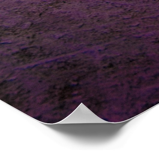 N-Vibe Poster (Hoek)