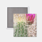 N.VT., VS, AZ, Phoenix, Desert Botanical Magneet (Voorkant / Achterkant)