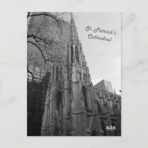 N.Y.E. St. Patrick's Cathedral Briefkaart