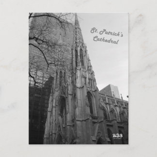 N.Y.E. St. Patrick's Cathedral Briefkaart