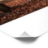 Na al deze tijd... altijd perfect poster (Hoek)