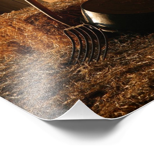 Na avond foto afdruk (Hoek)