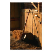 Na avond foto afdruk (Voorkant)