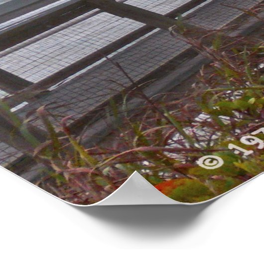 NA AWHILE POSTER (Hoek)