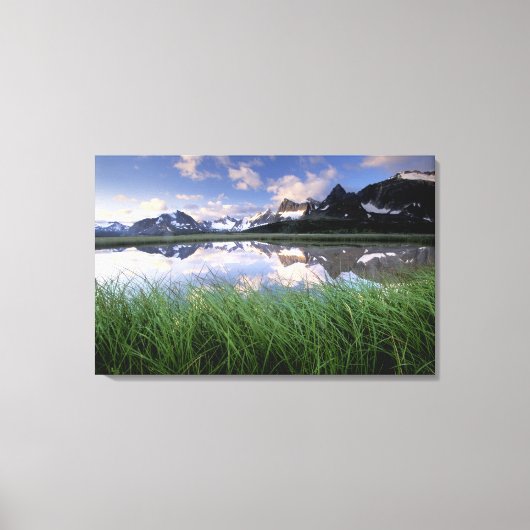 NA, Canada, Alberta, Tonquin-vallei. Jasper Canvas Afdruk (Voorkant)