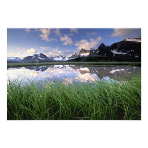 NA, Canada, Alberta, Tonquin-vallei. Jasper Foto Afdruk