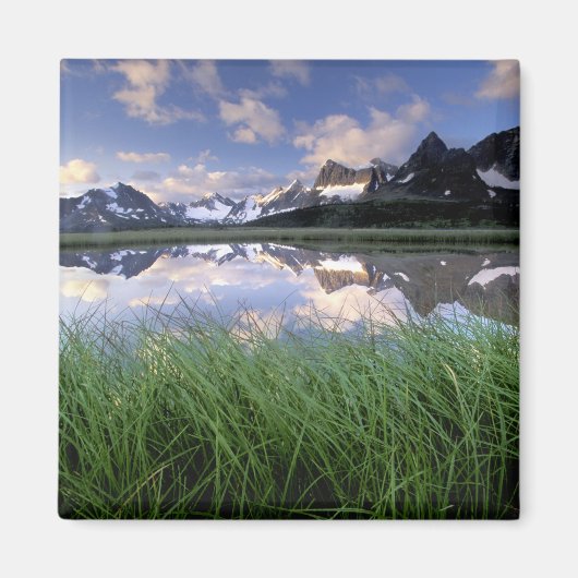 NA, Canada, Alberta, Tonquin-vallei. Jasper Magneet (Voorkant)