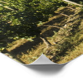 NA; Canada; British Columbia; Okanagan Valley; Poster (Hoek)