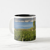 NA; Canada; British Columbia; Okanaganvallei; Tweekleurige Koffiemok (Voorkant links)